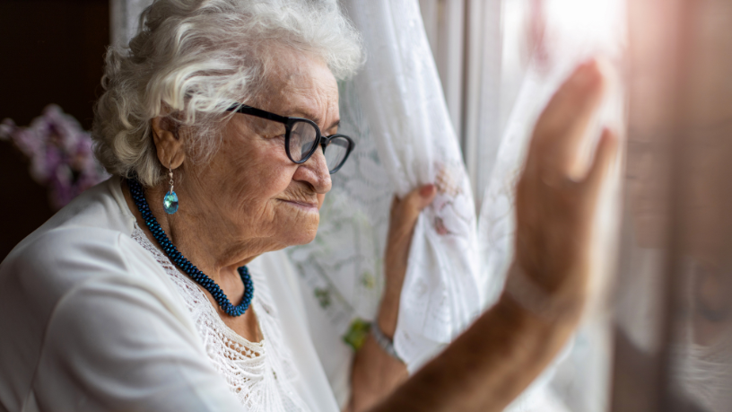 Sindnapi - Sindicato Nacional dos Aposentados, Pensionistas e Idosos