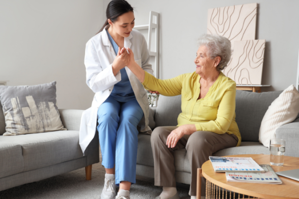 Sindnapi - Sindicato Nacional dos Aposentados, Pensionistas e Idosos