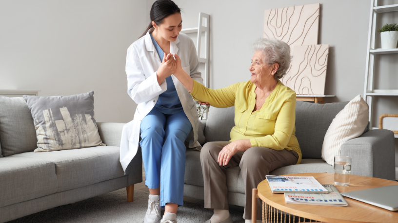 Sindnapi - Sindicato Nacional dos Aposentados, Pensionistas e Idosos